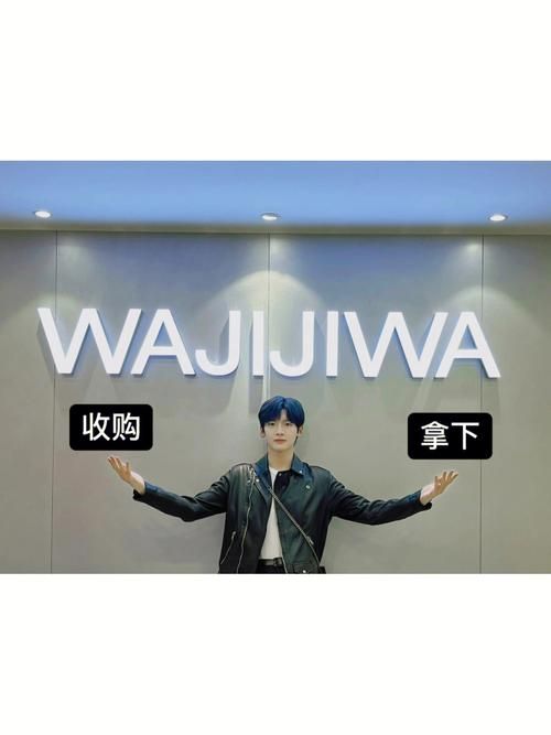 哇唧唧哇公司名背后的故事：龙丹妮的网名传奇