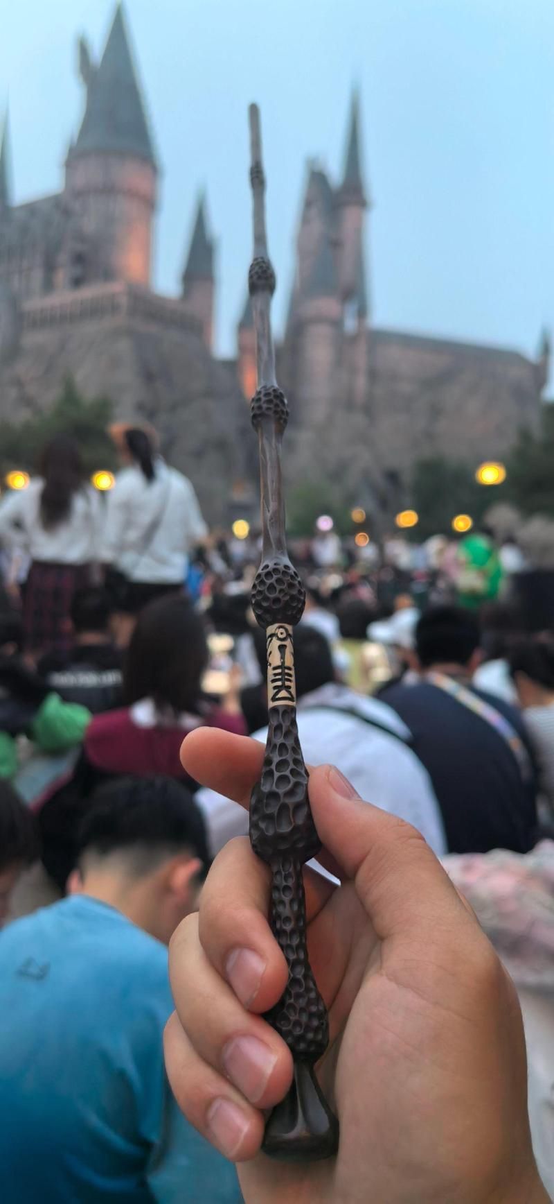 哈利波特接骨木魔杖：揭秘死亡圣器之首的秘密