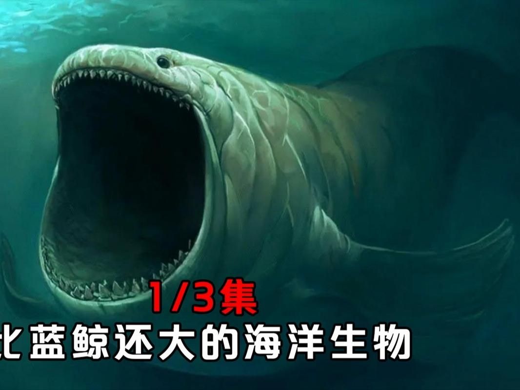 哪个大洋的海洋生物最丰富？太平洋生物资源详解