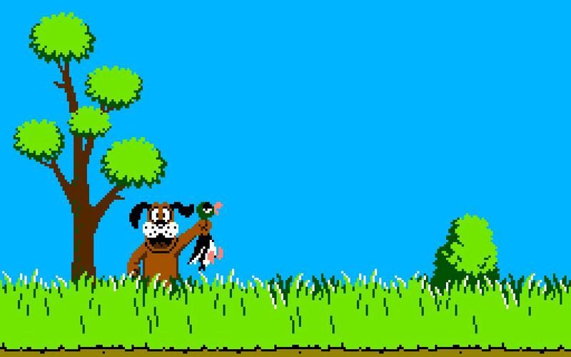 回忆童年！FC打野鸭：简单操作，乐趣无穷