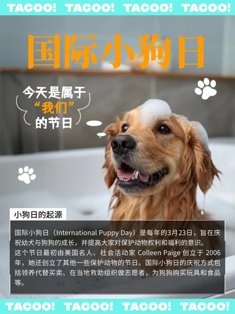 国际小狗节是几月几日？3月23日和小狗们一起狂欢吧！