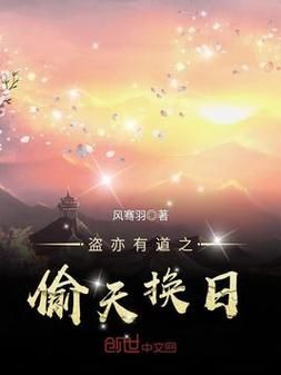 天龙之盗亦有道：侠义与盗窃的边缘挣扎