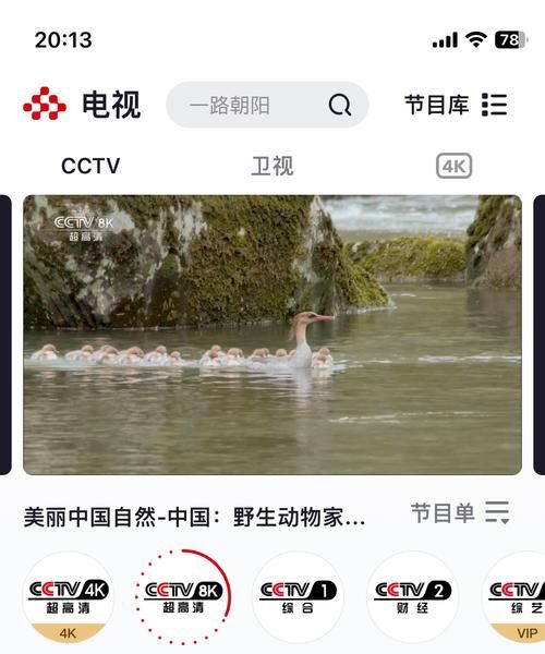 央视频APP：海量视频，随时随地看