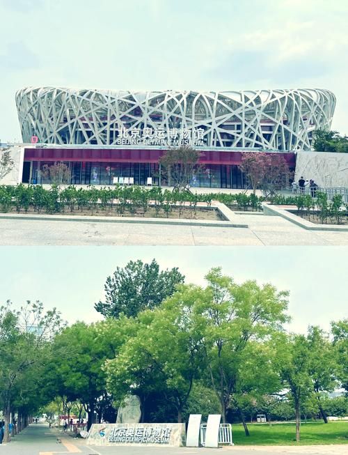 奥运选手住的地方叫什么？揭秘奥运村的秘密！