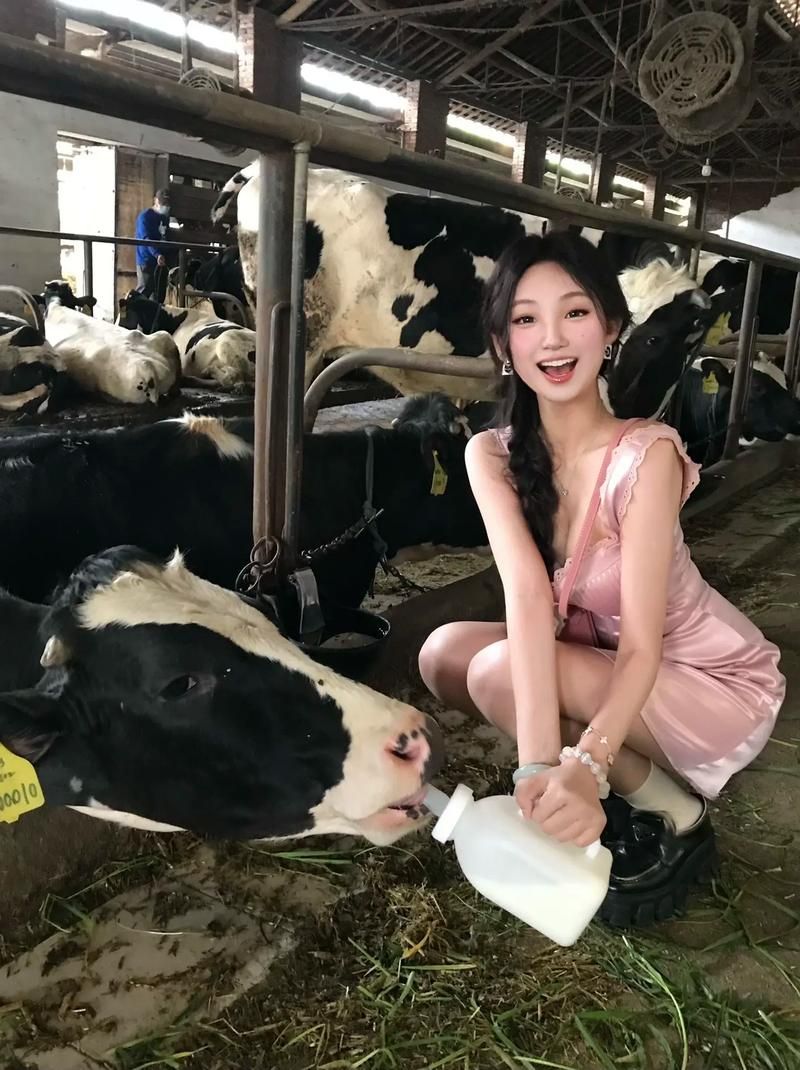 奶牛美女：一部让你笑泪交加的爱情故事