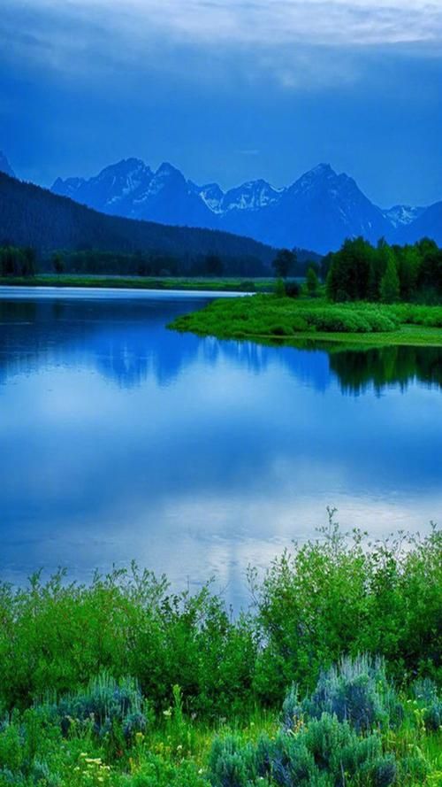 好大图库：高清壁纸、素材大全，你的图片天堂！