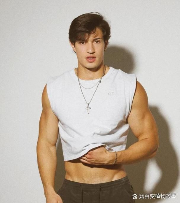 好莱坞25位新星，刘亦菲是唯一华人女星，太厉害了！