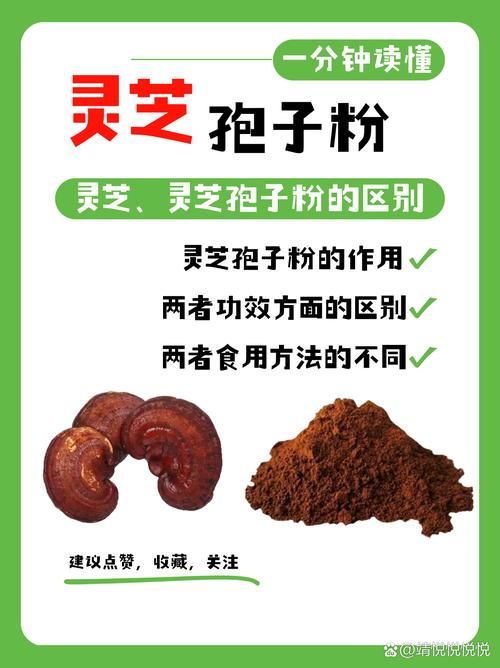 孢子中国：了解灵芝孢子粉等产品！