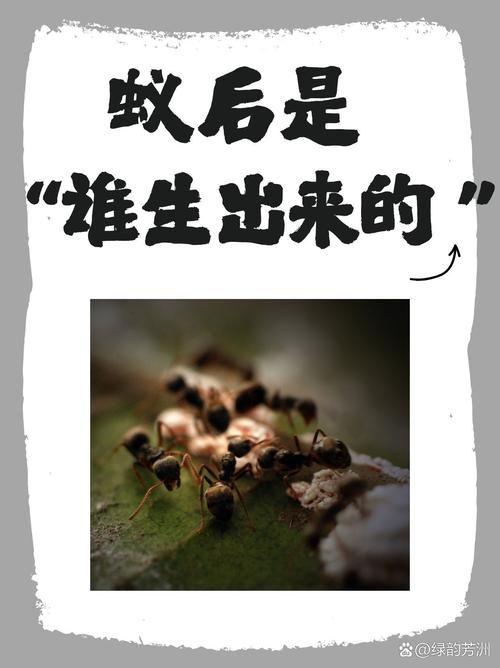 孩子叛逆期来了？蚂蚁庄园帮你了解孩子的第一个叛逆期！