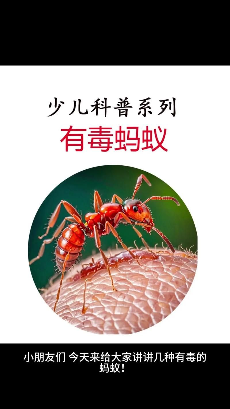 孩子叛逆期来了？蚂蚁庄园帮你了解孩子的第一个叛逆期！