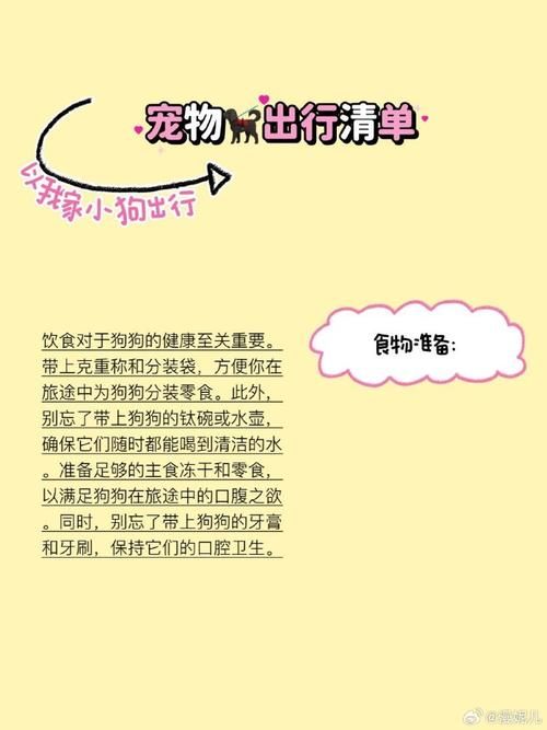 宠物旅行注意事项：安全出行，让宠物玩的更开心