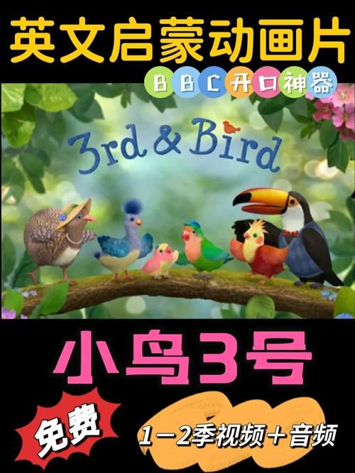 小鸟3号全集资源分享，带你重温童年记忆