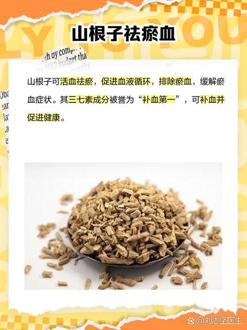 山根子是什么？功效作用及食用方法详解