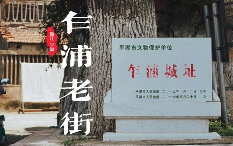 平湖在线：浙江平湖最火爆的生活服务应用