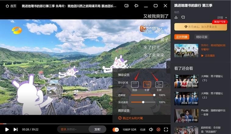 弹幕播放器推荐：告别卡顿，流畅看视频！