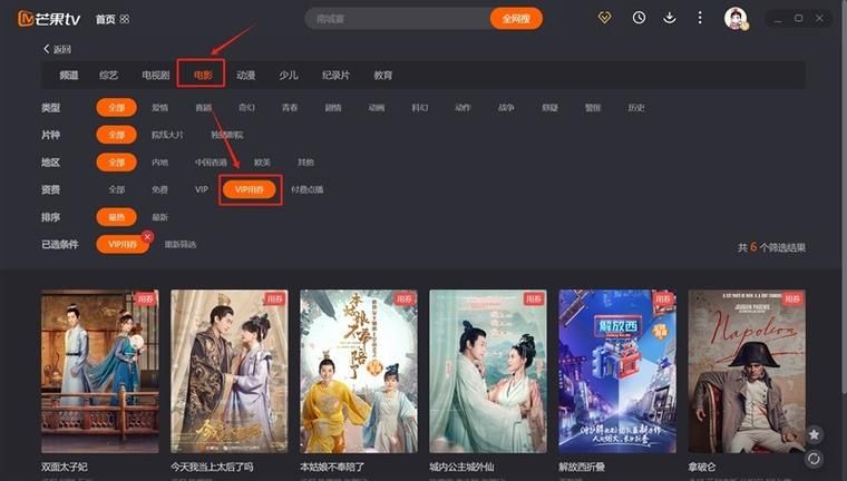 弹幕播放器推荐：告别卡顿，流畅看视频！