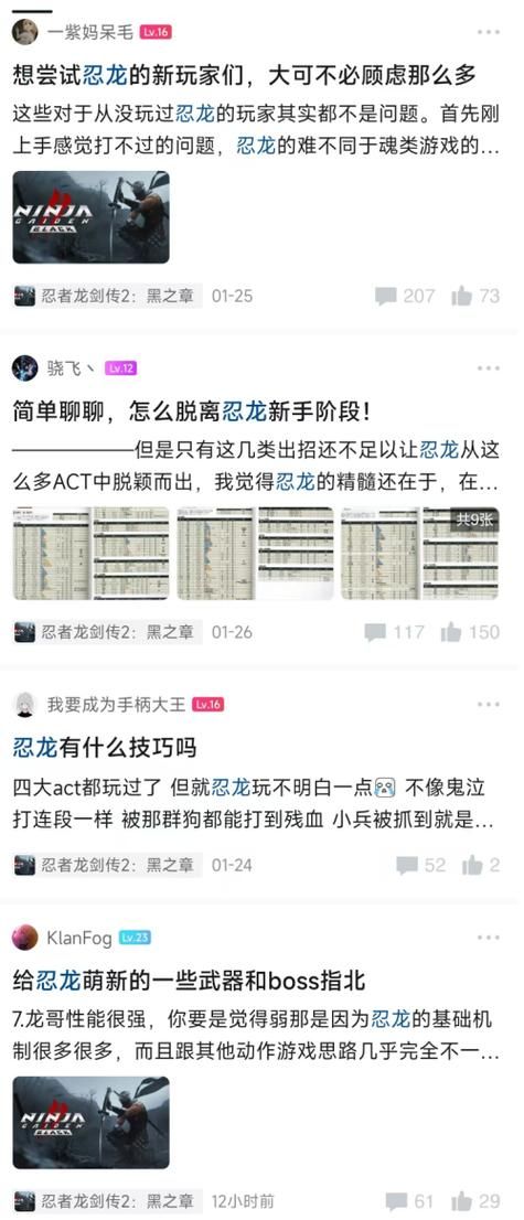 忍龙系列游戏深度解析，带你了解经典动作游戏