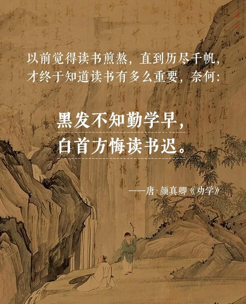 快眼看书：告别书荒，海量小说资源等你来发现！