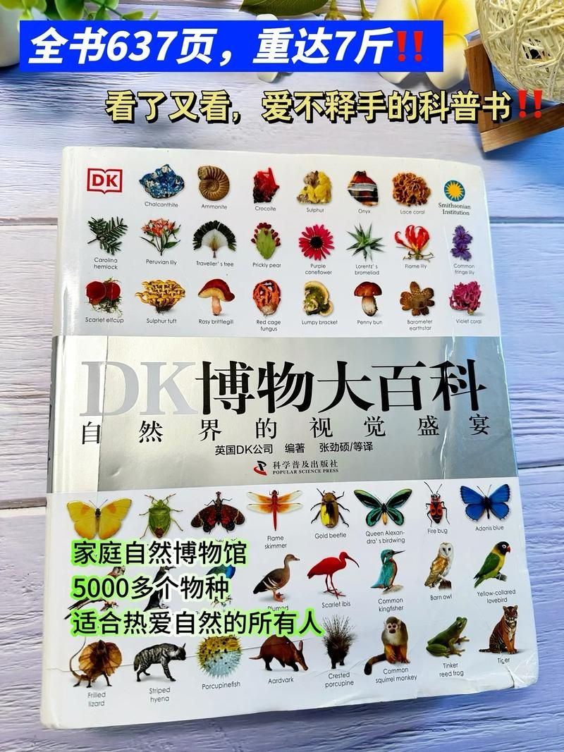 快速下载百科全书：多种格式任你选择