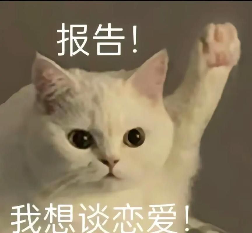 想在玫瑰情人网找对象？真实感受及使用技巧分享！
