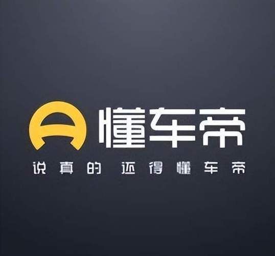 懂车帝官网好用吗？真实用户口碑大揭秘