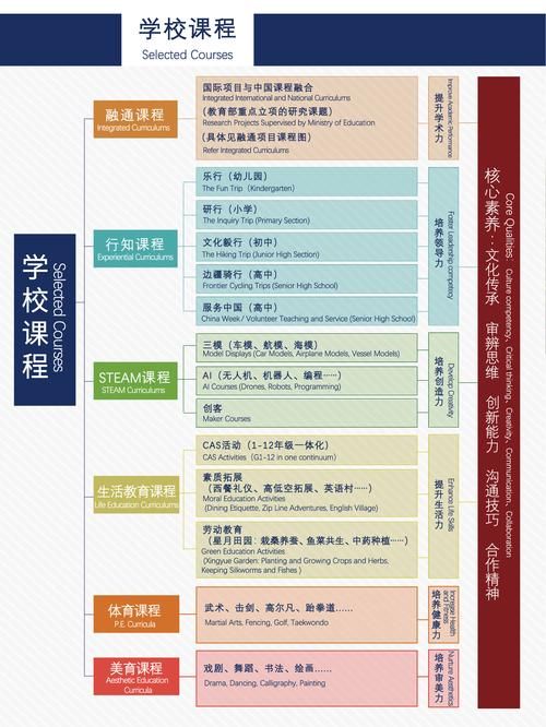 戈尔斯基教授的课程详解：深度解读课程内容及学习技巧