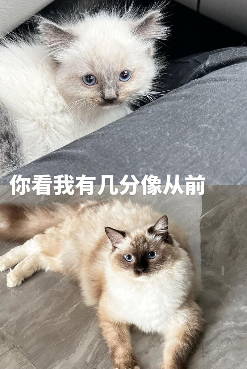 我就站在你面前，你看我几分像从前？从青涩到成熟，我的心路历程