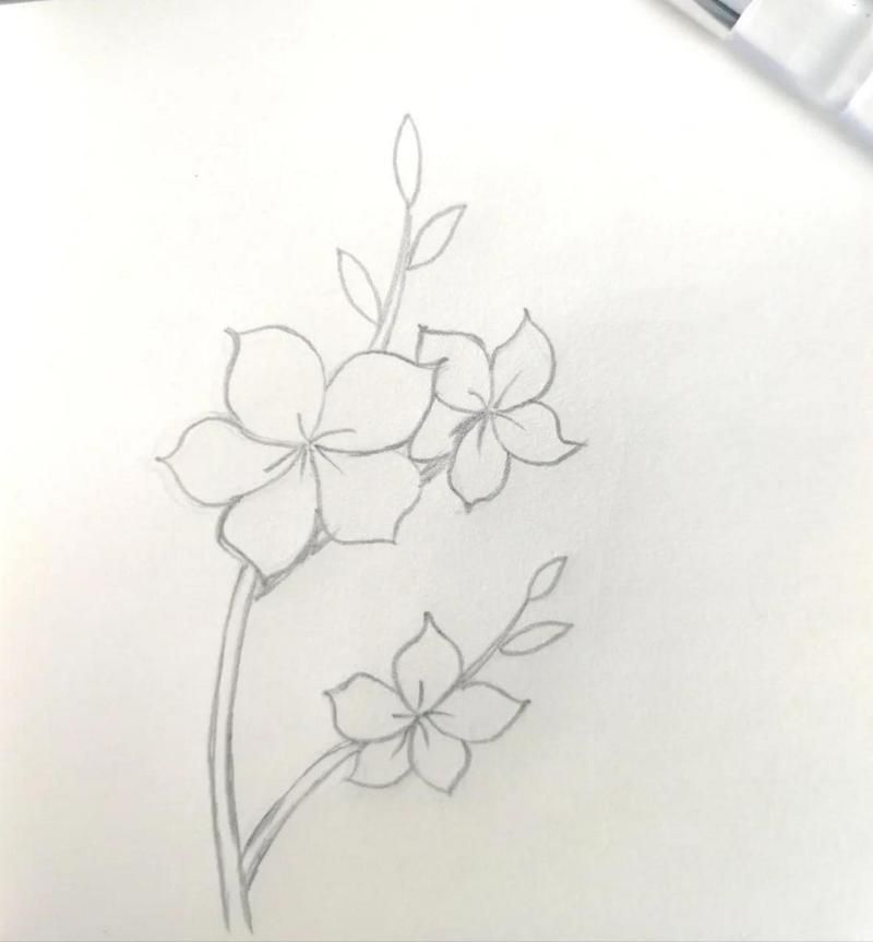 我把你画成花：未开的一朵花，歌曲背后的浪漫爱情故事