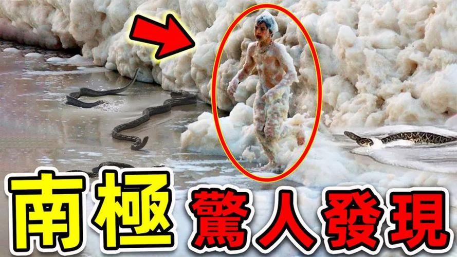 探秘南极：揭秘惊险刺激的海冰机场