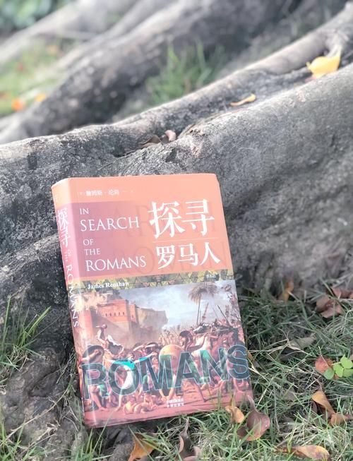 探索人偶圈：从入门到精通的爱好者指南