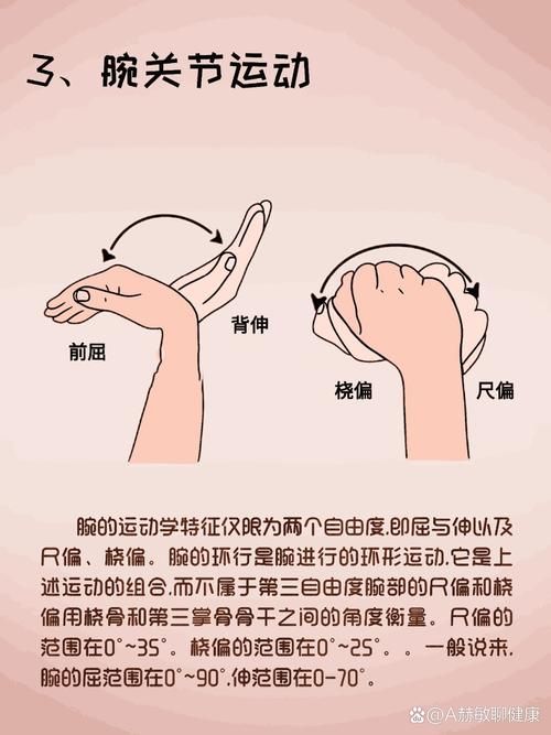 掰手腕技巧入门：从零基础到高手进阶