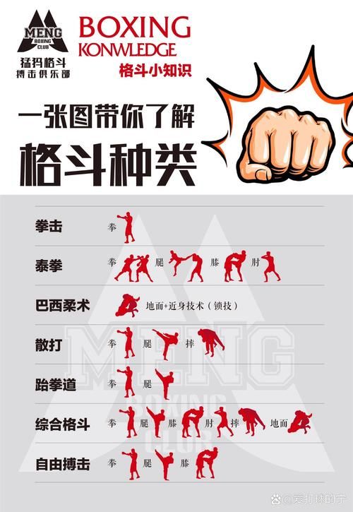 揭秘泰拳VS中国功夫：实战技巧大比拼