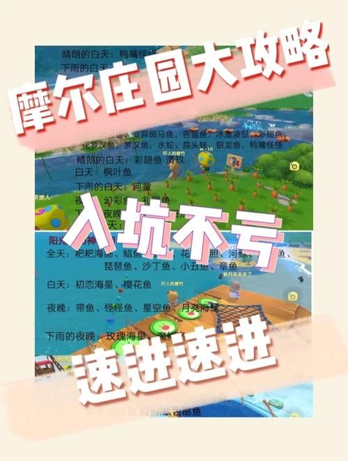 摩尔庄园雪山钓鱼场位置在哪？新手玩家必看攻略