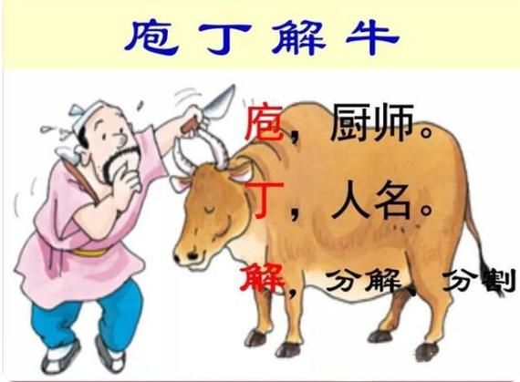 支付宝蚂蚁庄园：庖丁解牛成语题，轻松答题赢取丰厚奖励！