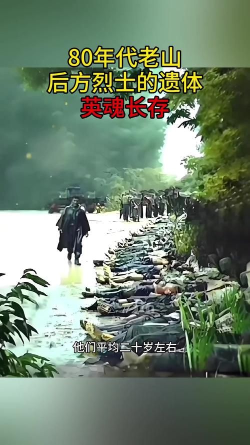 敌人的荣誉：那些被遗忘的战场故事