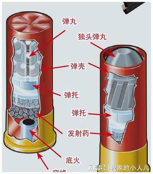 散弹枪与霰弹枪：名称不同，本质一样吗？