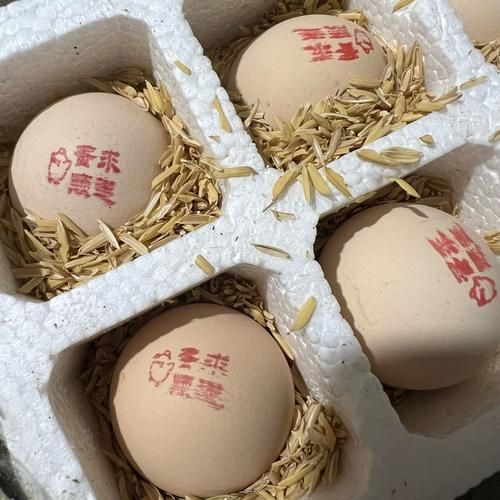 新鲜的鸡蛋蚂蚁庄园小课堂：你答对了吗？答案解析来了！
