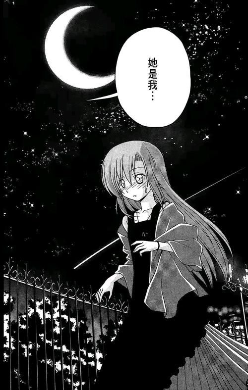旋风管家桂雏菊H图鉴：详解动漫角色魅力