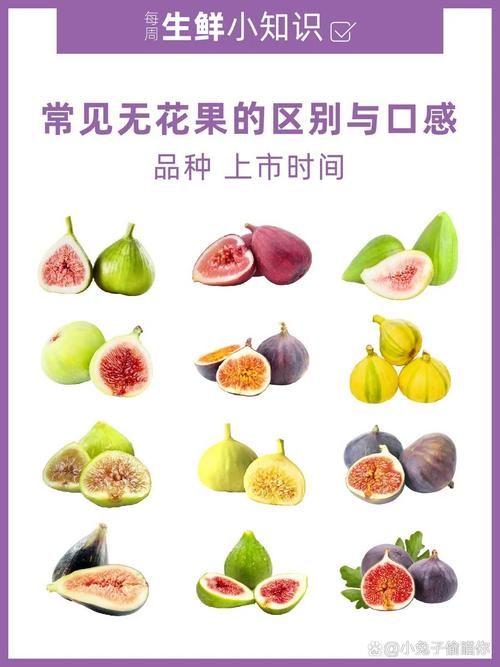 无花果为什么叫无花果？蚂蚁庄园趣味问答揭秘