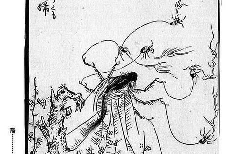 日本妖怪络新妇：她是美女还是可怕的蜘蛛精？