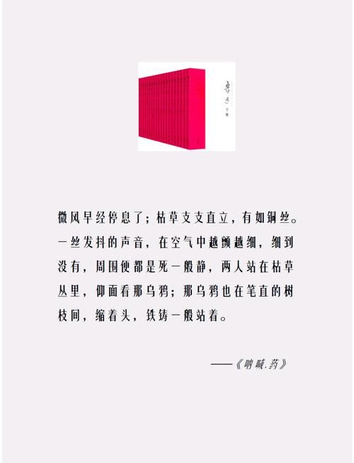 晨星书籍深度解读：作者背景及作品主题赏析