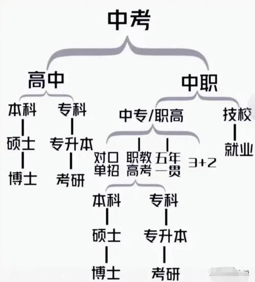 普职分流到底是什么？初中毕业生的升学去向选择