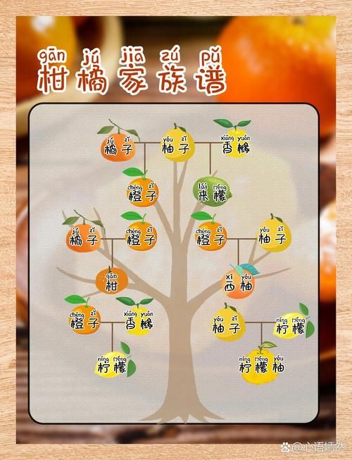 橘奏是什么？简单了解橘奏的含义和用法