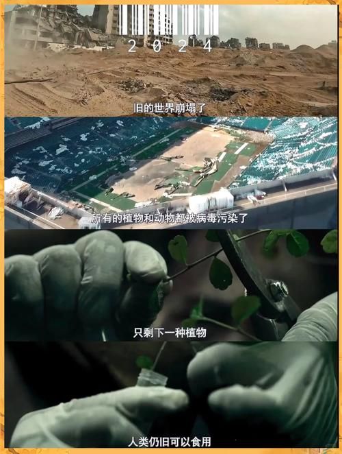 死亡边界：越界者究竟看到了什么？