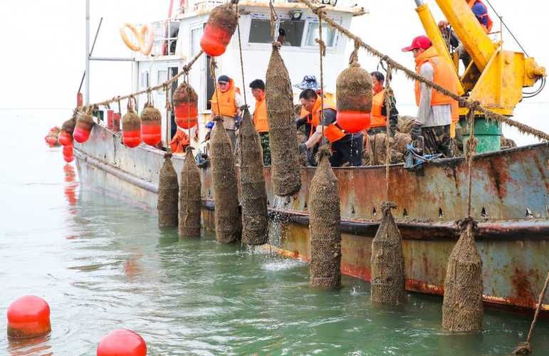 河北昌黎县渔业支柱产业揭秘：究竟是什么？