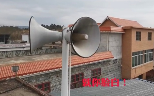 河南硬核村长的大喇叭：就地过年，守护健康和团圆
