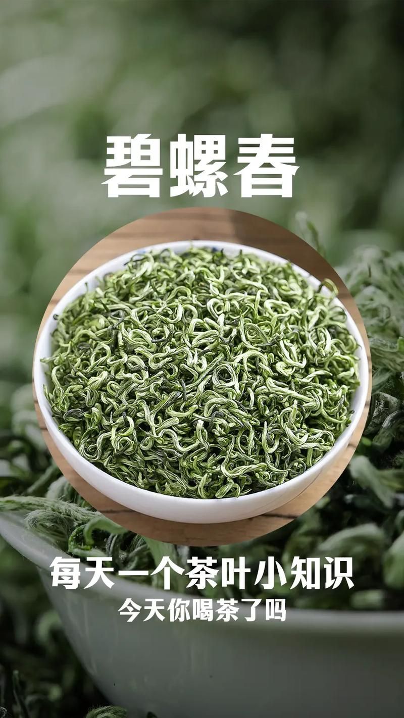 洞庭碧螺春产自哪里？带你认识正宗的中国名茶碧螺春