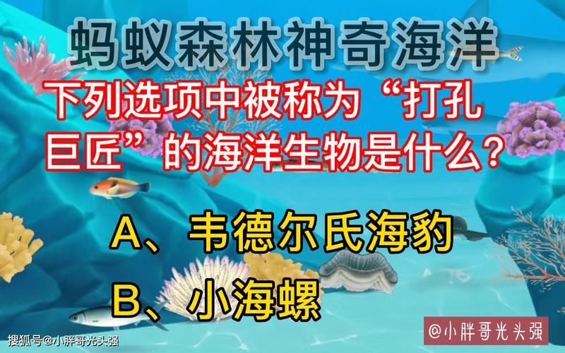 海洋生物里的“打孔专家”：韦德尔氏海豹
