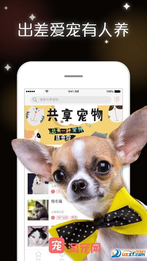 淘宠网app下载：便捷的宠物交易平台