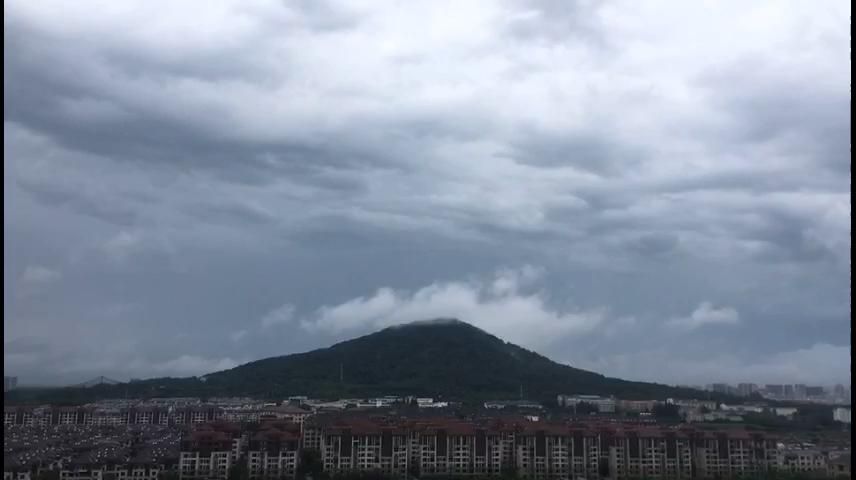 深入合肥风云际会：揭秘这家科技公司